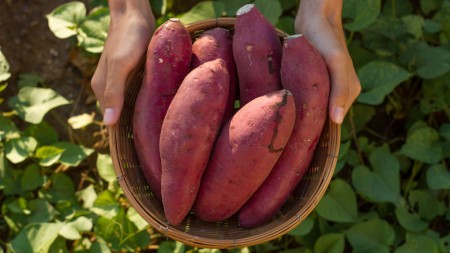 12 Sweet Potato Hacks You'll Wish You Knew Sooner